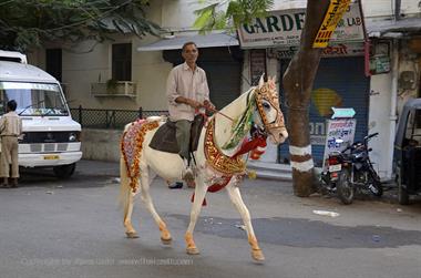 05 City-Walk,_Udaipur_DSC4487_b_H600